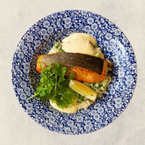Salmon steak 